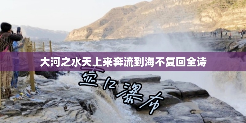 大河之水天上来奔流到海不复回全诗