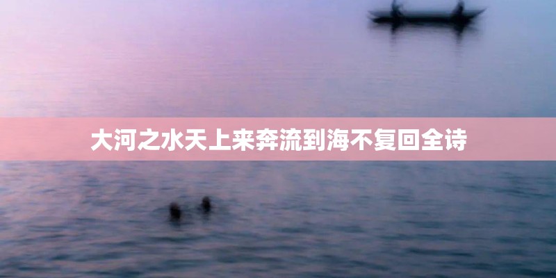 大河之水天上来奔流到海不复回全诗