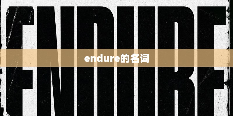 endure的名词