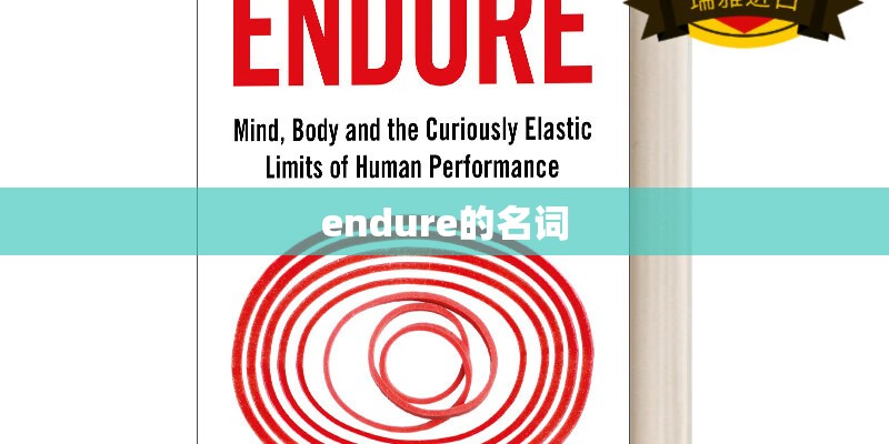 endure的名词