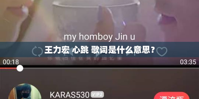 王力宏 心跳 歌词是什么意思？