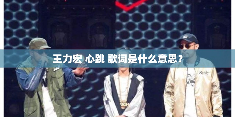 王力宏 心跳 歌词是什么意思？