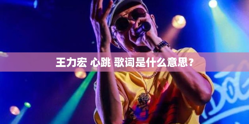 王力宏 心跳 歌词是什么意思？