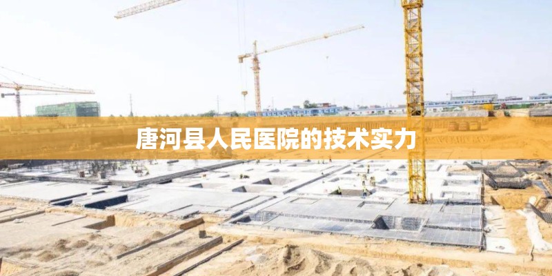 唐河县人民医院的技术实力