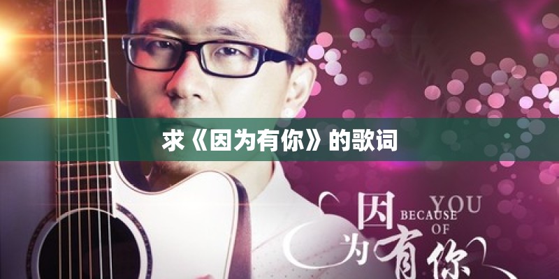 求《因为有你》的歌词