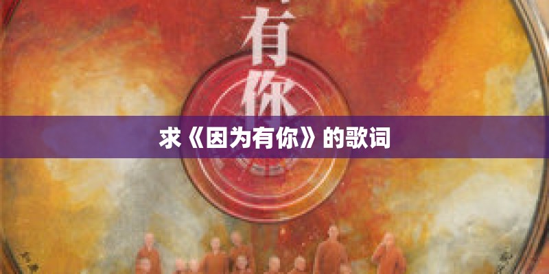 求《因为有你》的歌词