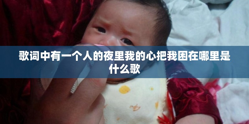 歌词中有一个人的夜里我的心把我困在哪里是什么歌