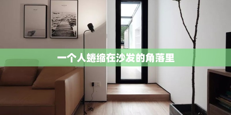 一个人蜷缩在沙发的角落里 一个人蜷缩在沙发的角落里