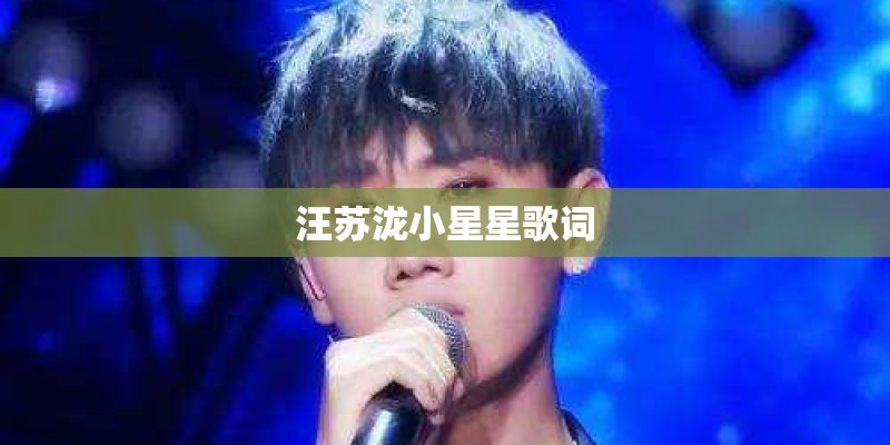 汪苏泷小星星歌词
