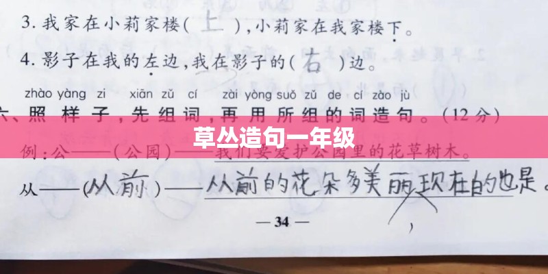 草丛造句一年级
