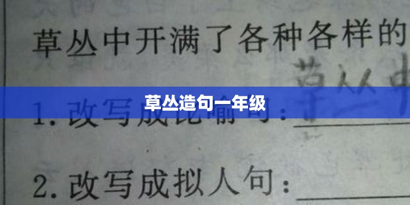 草丛造句一年级