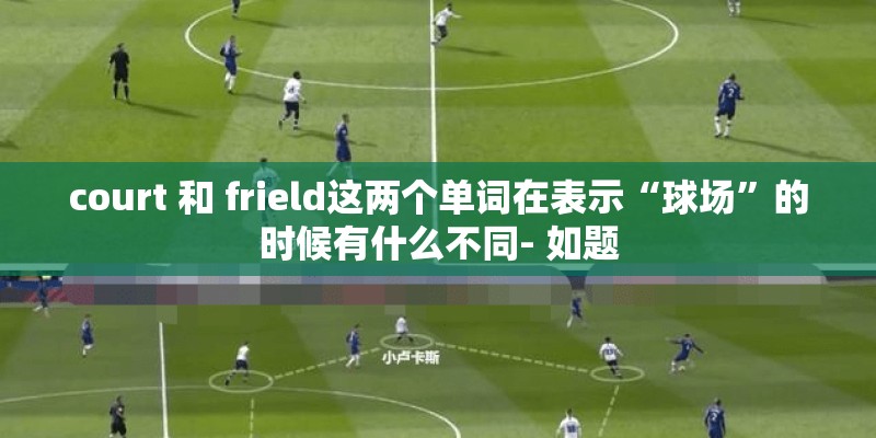 court 和 frield这两个单词在表示“球场”的时候有什么不同- 如题