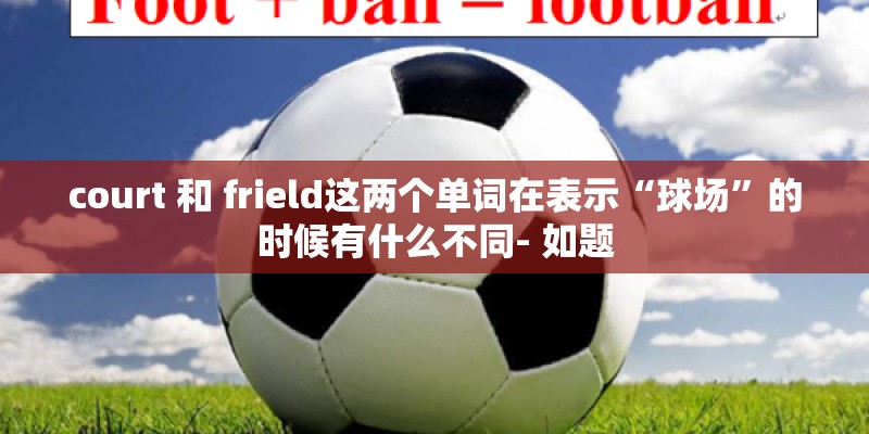 court 和 frield这两个单词在表示“球场”的时候有什么不同- 如题