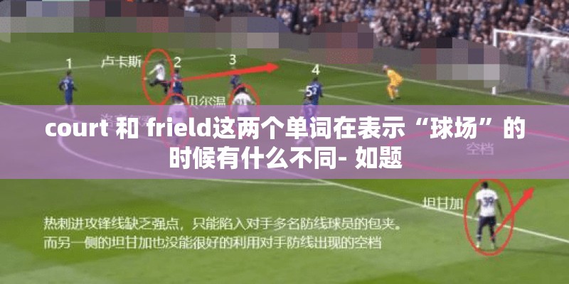 court 和 frield这两个单词在表示“球场”的时候有什么不同- 如题