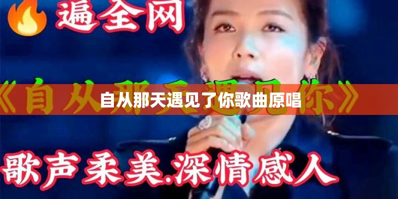 自从那天遇见了你歌曲原唱