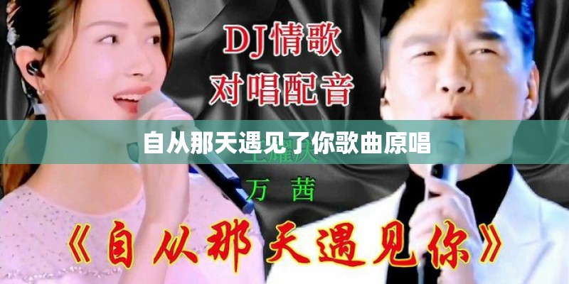 自从那天遇见了你歌曲原唱
