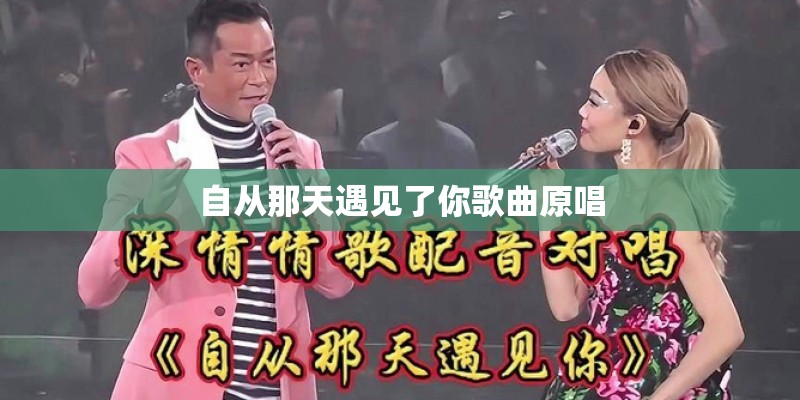 自从那天遇见了你歌曲原唱