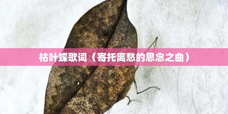 枯叶蝶歌词（寄托离愁的思念之曲）