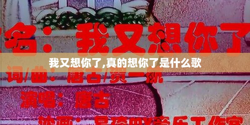 我又想你了,真的想你了是什么歌