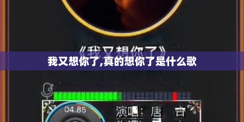 我又想你了,真的想你了是什么歌