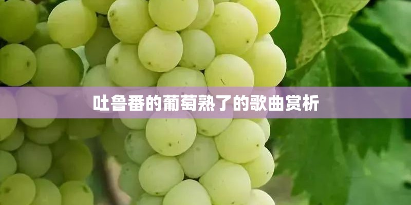 吐鲁番的葡萄熟了的歌曲赏析