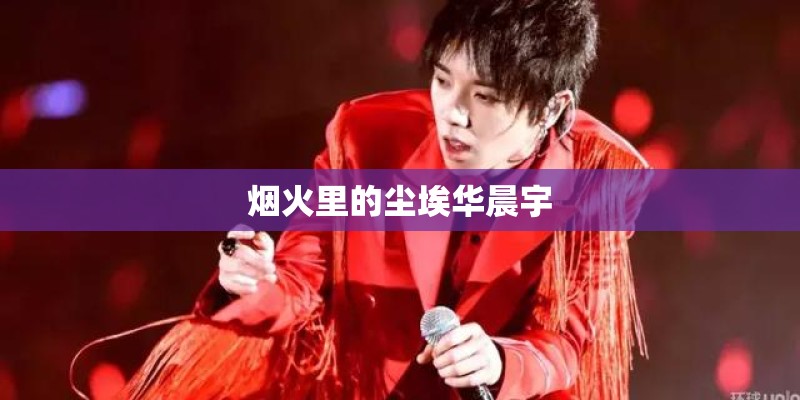 烟火里的尘埃华晨宇