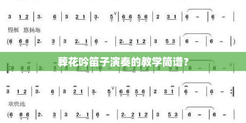 葬花吟笛子演奏的教学简谱？