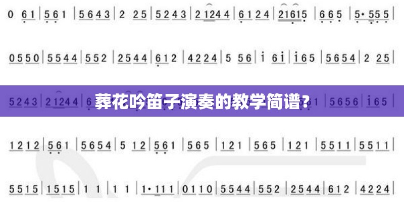 葬花吟笛子演奏的教学简谱？