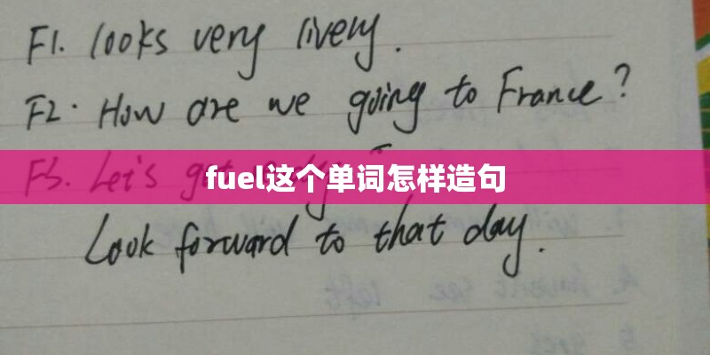 fuel这个单词怎样造句
