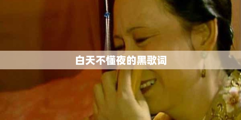 白天不懂夜的黑歌词