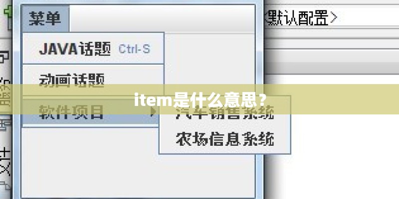 item是什么意思? item是什么意思?