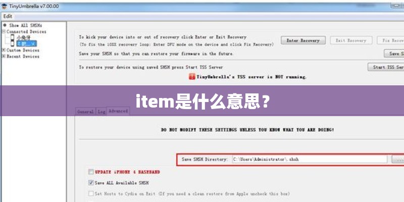 item是什么意思? item是什么意思?