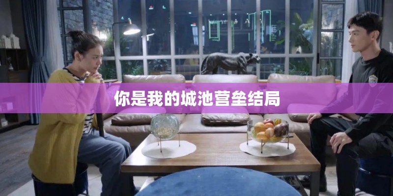 你是我的城池营垒结局