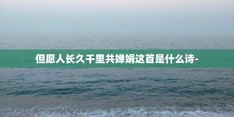 但愿人长久千里共婵娟这首是什么诗-