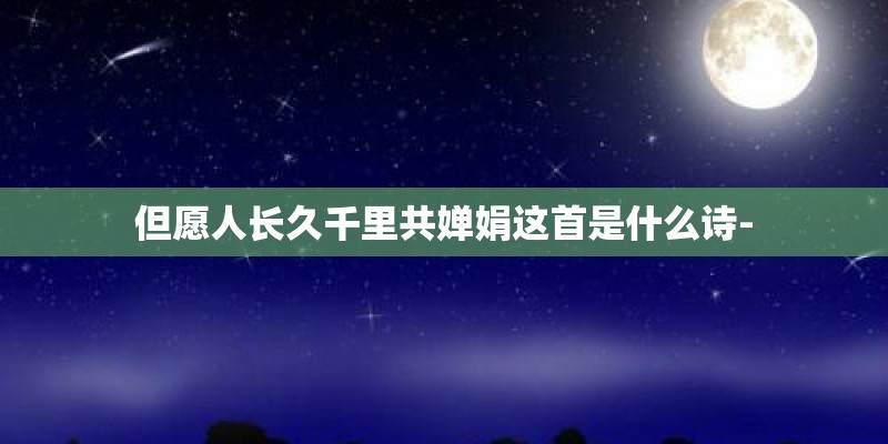 但愿人长久千里共婵娟这首是什么诗-