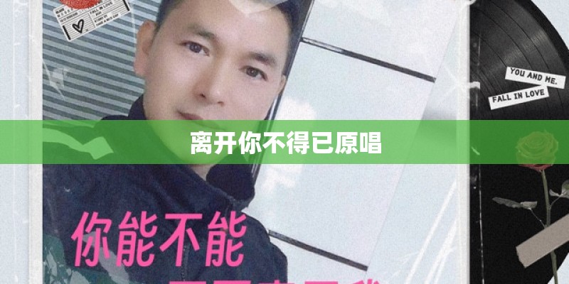 离开你不得已原唱