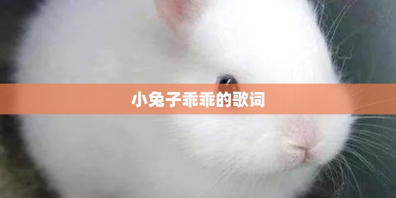 小兔子乖乖的歌词 小兔子乖乖的歌词