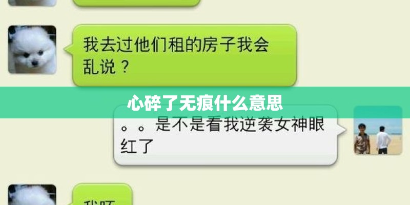 心碎了无痕什么意思