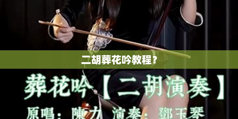 二胡葬花吟教程? 二胡葬花吟教程?