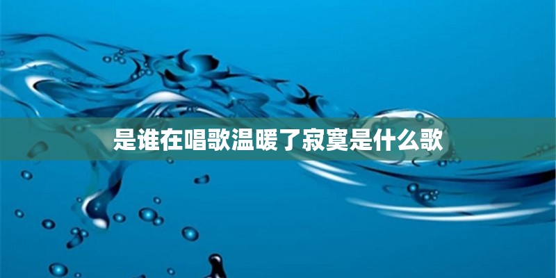 是谁在唱歌温暖了寂寞是什么歌 是谁在唱歌温暖了寂寞是什么歌