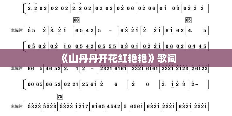 《山丹丹开花红艳艳》歌词