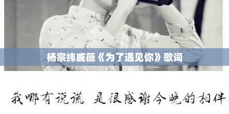 杨宗纬戚薇《为了遇见你》歌词 杨宗纬戚薇《为了遇见你》歌词