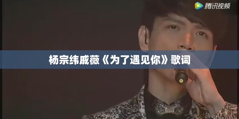 杨宗纬戚薇《为了遇见你》歌词 杨宗纬戚薇《为了遇见你》歌词