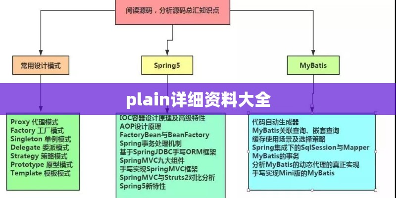 plain详细资料大全