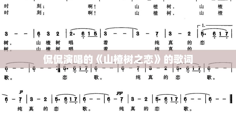 侃侃演唱的《山楂树之恋》的歌词