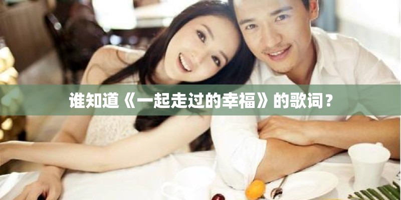 谁知道《一起走过的幸福》的歌词？