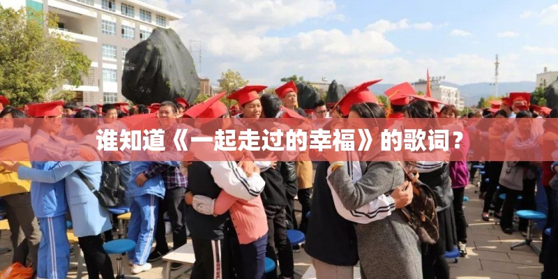 谁知道《一起走过的幸福》的歌词？