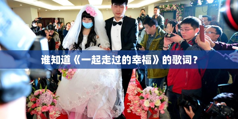 谁知道《一起走过的幸福》的歌词？
