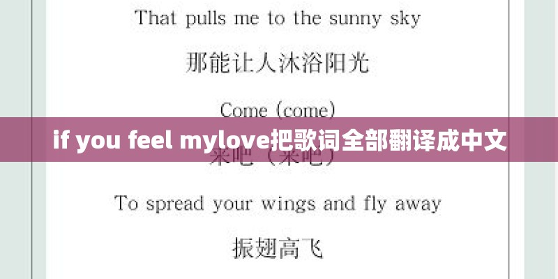 if you feel mylove把歌词全部翻译成中文