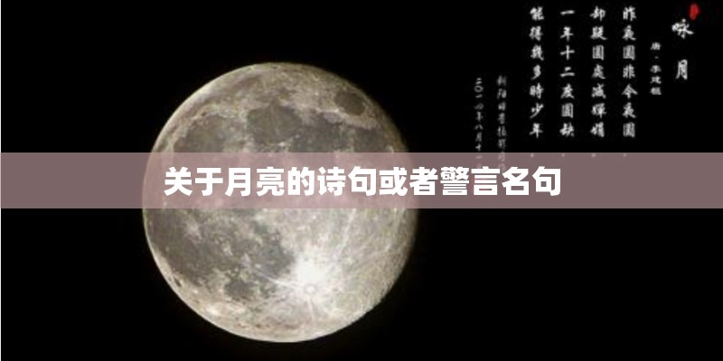 关于月亮的诗句或者警言名句